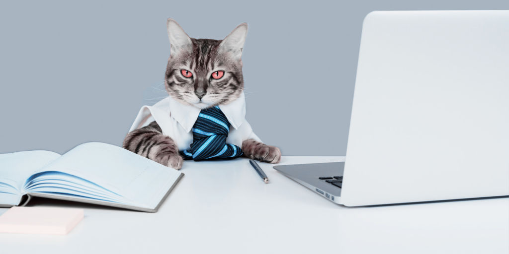 funny_cat_working